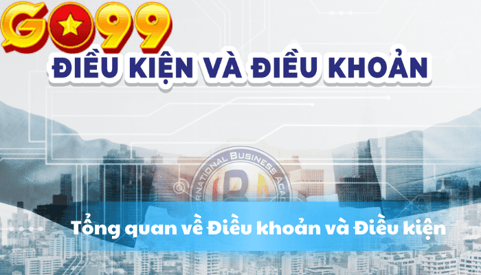 Tổng quan về Điều khoản và Điều kiện